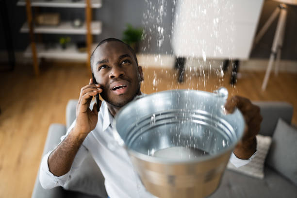 Best Flood damage cleanup  in Ocklawaha, FL
