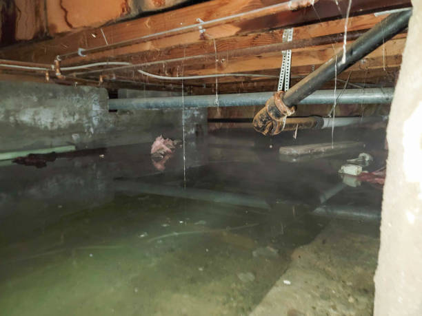 Water damage restoration insurance claims in Ocklawaha, FL