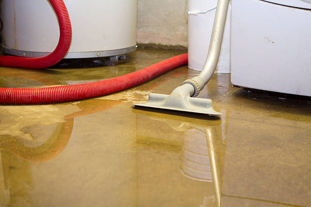 Reliable Ocklawaha, FL Water damage restoration Solutions