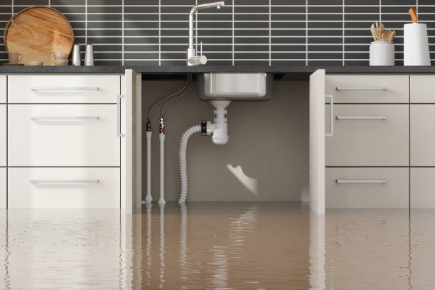 Best Water damage restoration insurance claims  in Ocklawaha, FL