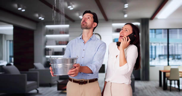 Best Carpet water damage restoration  in Ocklawaha, FL