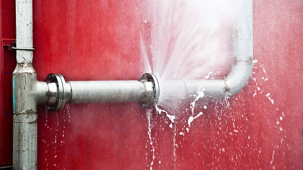 Best Flooded house restoration  in Ocklawaha, FL